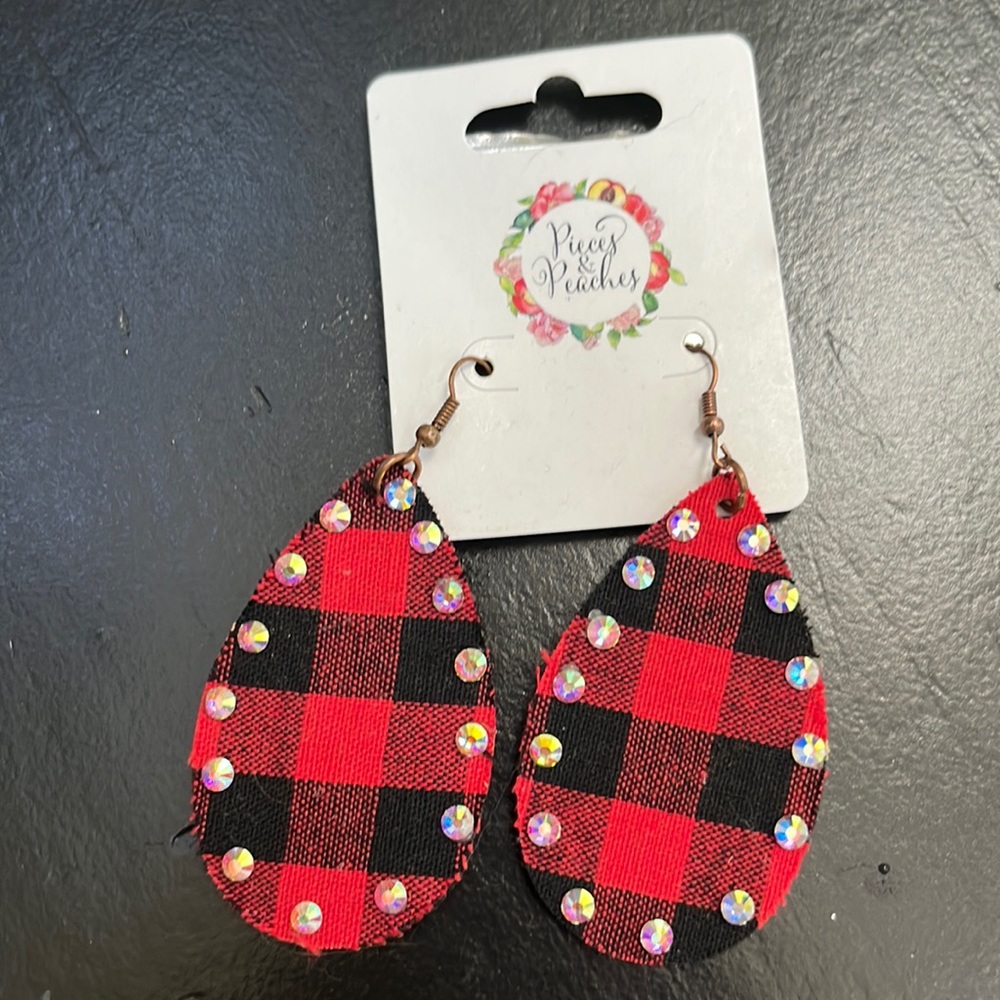 Brand New Boutique Earrings